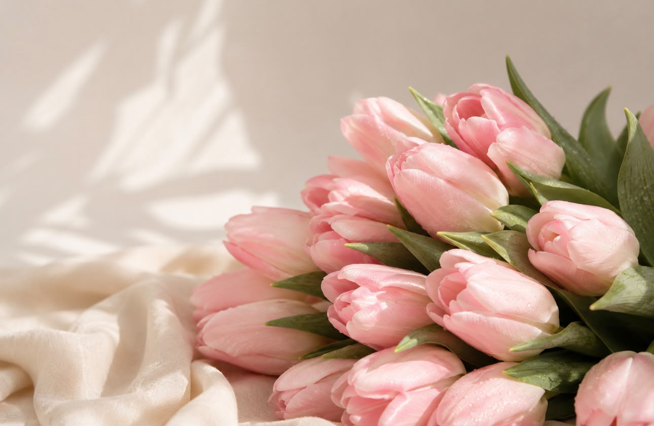 Tulips