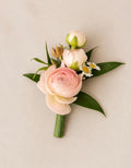Blush Promise