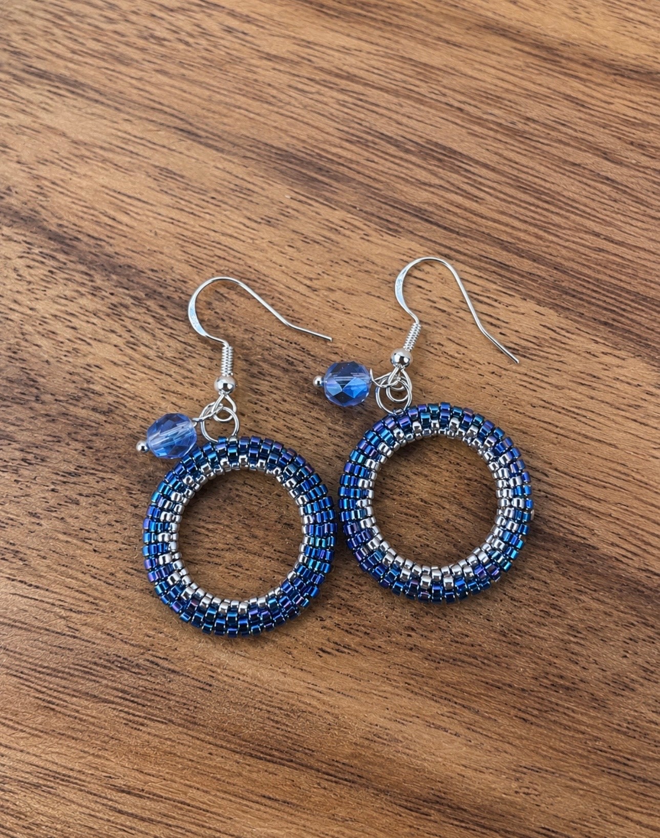 Moon Circle Earrings