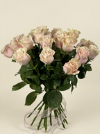 Blush Silk Roses
