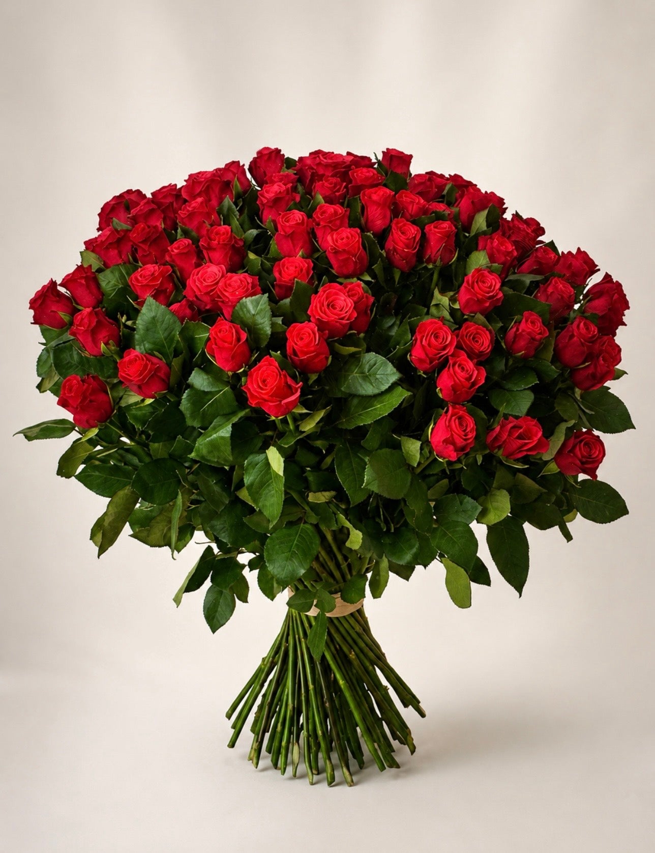 Imperial Red Infinity Premium