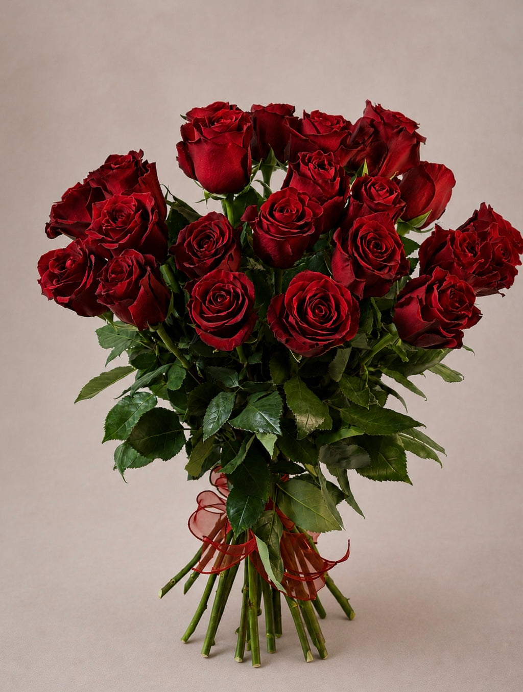 Velvet Midnight Roses